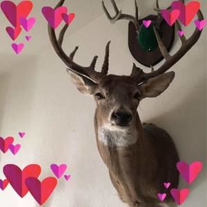 Meet your Posher, Ricky